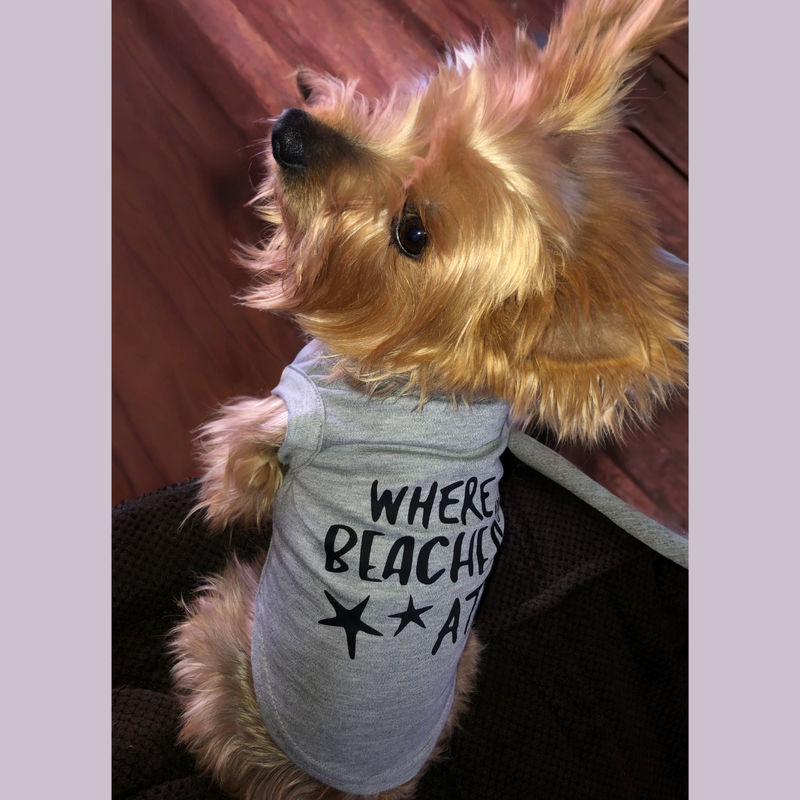 Where My Beaches At Dog Shirt - Gray